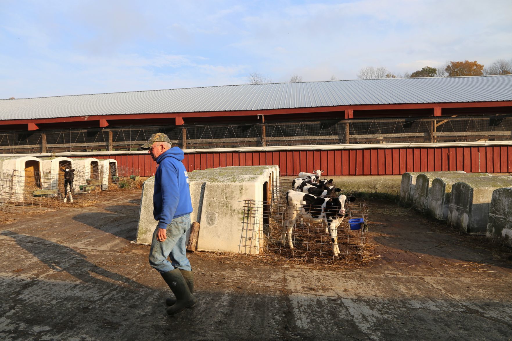 Hollister Brothers Farm